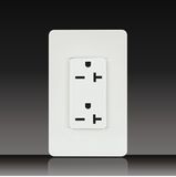 20A Receptacle with Plate (LGL-11-11)