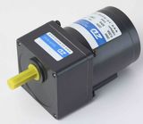 ZD 60mm 6 (10) W AC Reversible Gear Motor