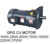 Shaft Dia 22mm Small AC Gear Motor (Vertical)