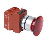 Big Head LED Push Button Switch C2pim4