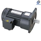 100W Vertical Samll AC Electric Servo Motor with Single Phase_D