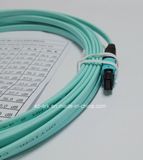 MPO Fiber Optic Ribbon Cable