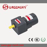 40W 90mm Micro AC Gear Induction Reduced Electirc Motor