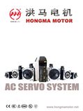Servo Motor