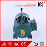 AC Induction Brake Motor with Cast Iron Housing