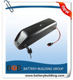 New Arrival 750W/1000W 13s4p 48V 11.6ah Lithium Battery Pack