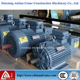The Highly Quality Electric Three Phase Asynchronous Motor