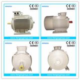 Ye3 3kw-2p Three-Phase AC Asynchronous Squirrel-Cage Induction Electric Motor for Water Pump, Air Compressor