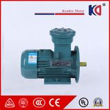 Anti-Explosion Induction Motor with 0.55kw 1.79A