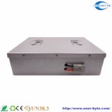 LiFePO4 Battery Pack for Agv Robot
