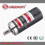 12/24V DC Brushless Gear Motor
