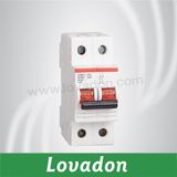 Good Quality S201 2 Pole Miniature Circuit Breaker