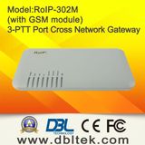 DBL Cross-Network Gateway (RoIP-302)