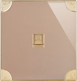 British Standard One Gang Internet/Telephone Socket Flat (N3)