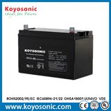 12V 80ah Maintenance Free VRLA AGM Battery with MSDS