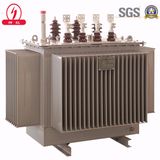 15kv/0.4kv 11kv/0.4kv Oil-Immersed Distribution Transformer