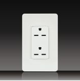 15A Receptacle Switch Socket with Plate (LGL-11-10)