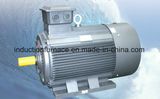 Electric Three Phase Asynchronous Squirrel-Cage Induction Motors Induction Motor