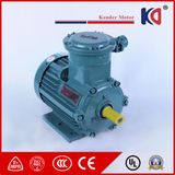 AC Induction Flameproof Motor with Aluminum Casing Housing