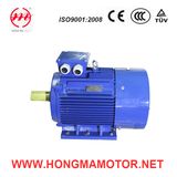 0.75~315kw Cast Iron Electric High Efficiency Three Phase Asynchronous Motor