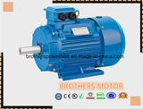 Y2 Series Three-Phase Induction Motor