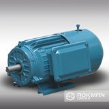 Die-Cast Iron Housing AC Motor with Brake (4 pole)