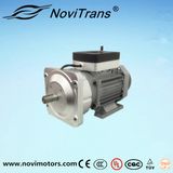 3kw Power Servo Speed Control Motor (YVM-100A)