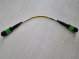 MTP-MTP Sm Fiber Optic Patchcord