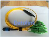 Jumper MPO Female 3.0mm- Sc/APC 2.0mm for Each Branch Cable12fo 9/125 OS2 1m LSZH