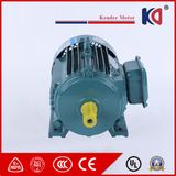 3HP AC Electric Induction Motor with Gearbox