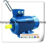 Y2 Series Three-Phase Induction Motor