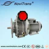 Three Phase Permanent Magnet Synchronous Motor Flexible Motors with Speed Governor (YFM-100/G)