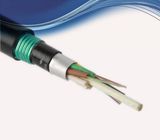 Gyfta53 Stranded Loose Tube Non-Metallic Armored Fiber Cable for Arial/Direct-Burial