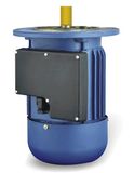 Series Heavy-Duty Capacitors Start Induction Motor (YY)