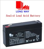 6V1.2 Customized AGM Chargeable Battery for Flashlight