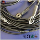 High Quality 75ohm Coaxial Cable 3c-2V with Connectors