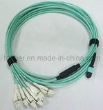 MTP/MPO-LC OM3 Fiber Optic Patch Cord (fiber optic cable)