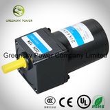 EVA 6W 60mm AC Induction Motor