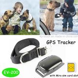 High Quality Newest Pet GPS Tracker with Real Time Tracking (EV-200)