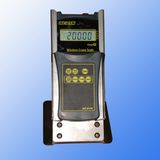 Wireless Indicator for Crane Hanging Scale