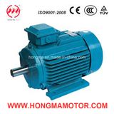 NEMA Three Phase Asynchronous Induction High Efficiency Electric Motor