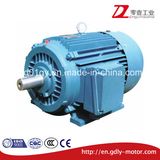 Cast Iron Three-Phase Asynchronous Induction Electric Motor