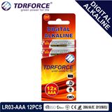 1.5V Digital Alkaline Battery Dry Battery with BSCI (LR03-AAA 12PCS)
