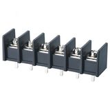 Wanjie PCB Barrier Terminal Block (WJ65C-11.0mm)