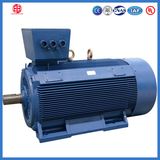 Low Voltage Big Power Three Phase Asynchronous Motor