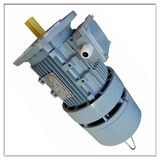 Hmej Three Phase Electro-Magnetic Brake Induction Motor