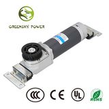 200W Powerful 24V Brushless DC Motor