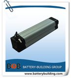 24V LiFePO4 Silver Fish Battery Pack for E-Bike