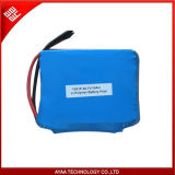 Hot Seling 48.1V 10ah Li-Polymer Battery Pack