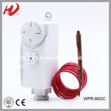 CE and RoHS Approved Capillary Immersion Thermostat